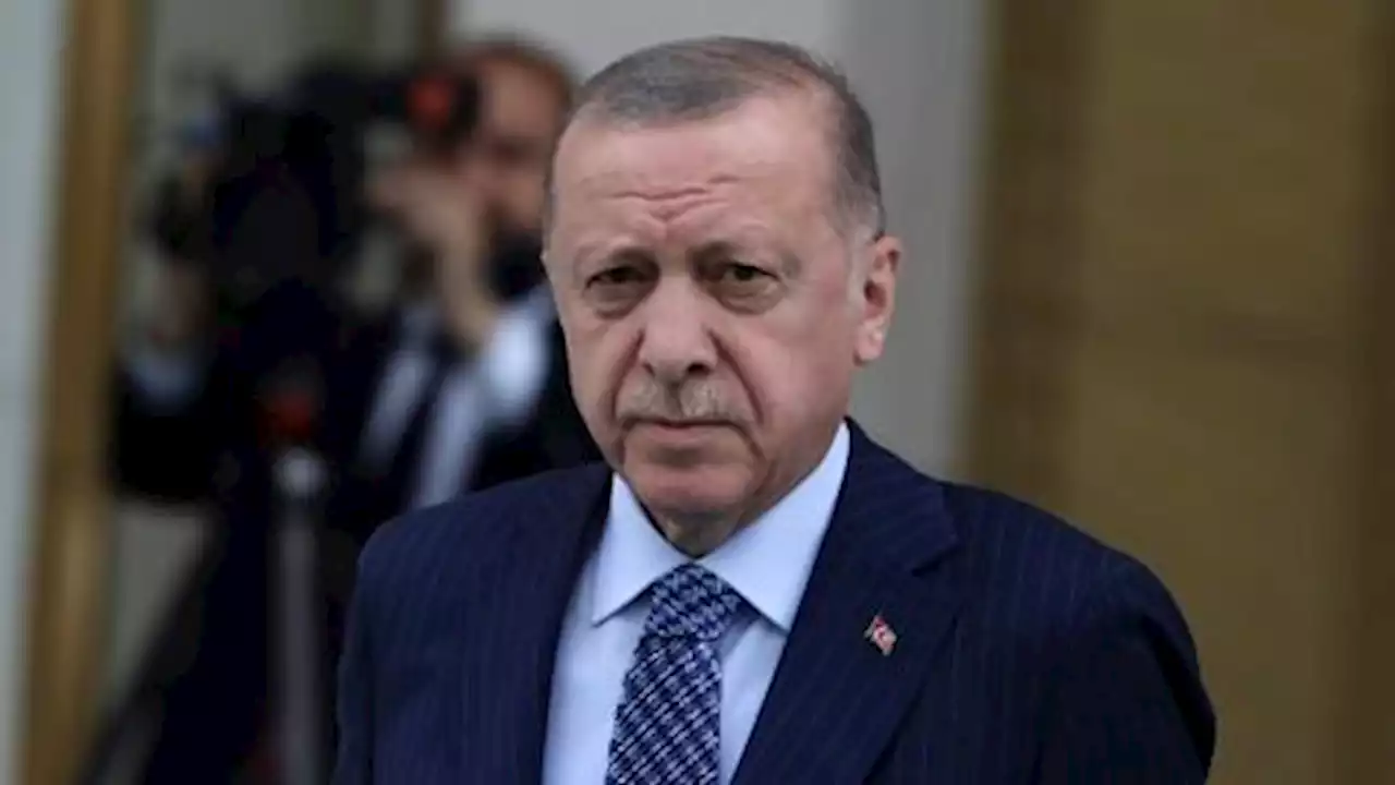 Erdogan: Talks with Sweden, Finland on NATO bids not 'at desired level'