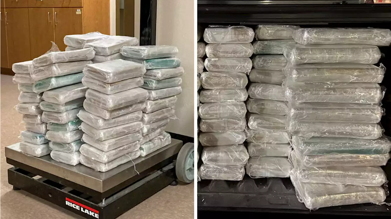 Canadian men busted with nearly 150 pounds of cocaine in semi-truck, authorities say