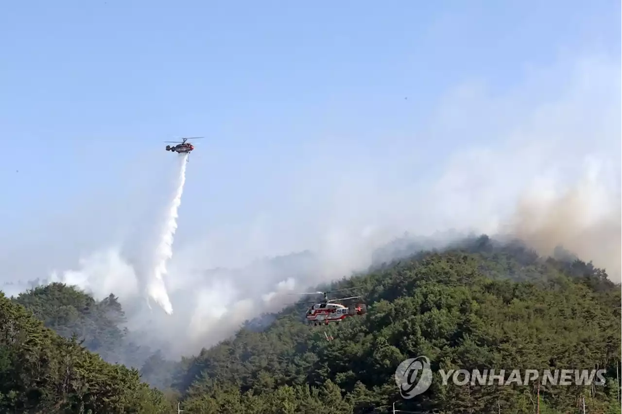 울진 산불 23시간여만에 진화…축구장 203개 면적 태워(종합2보) | 연합뉴스