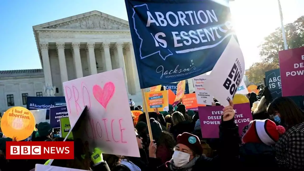 Roe v Wade: US Supreme Court leak suggests abortion law repeal