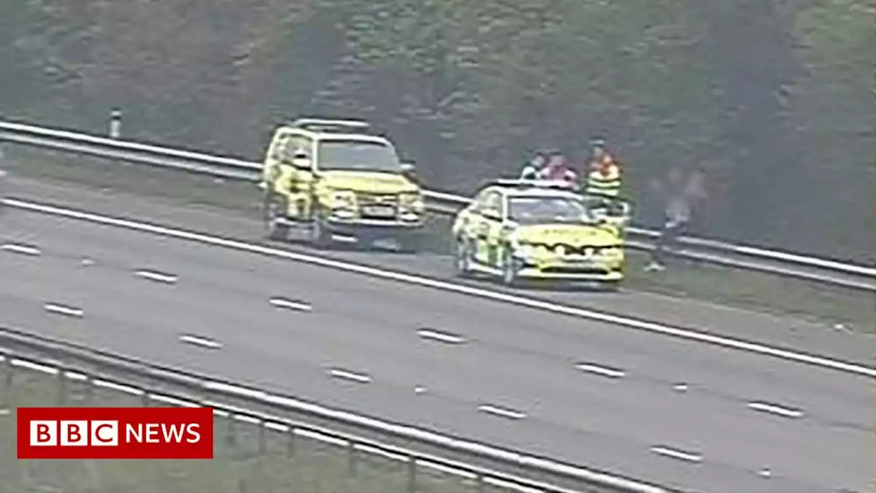 TikTok teens film clip at side of motorway