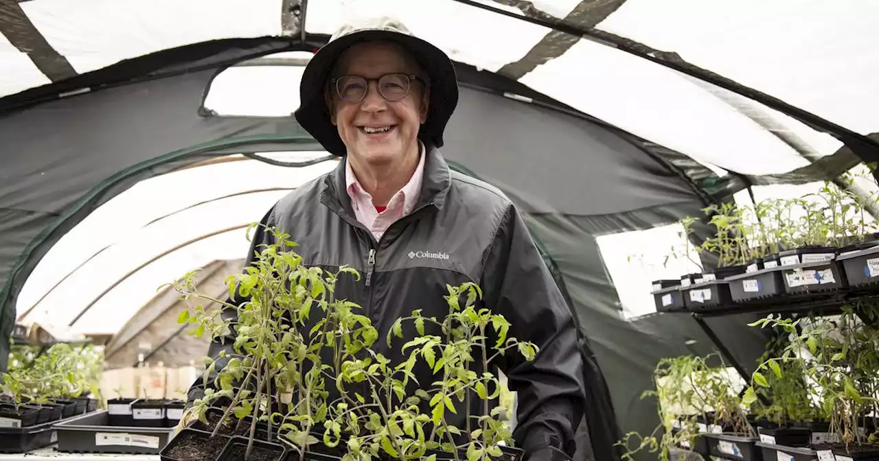 Chicago’s Tomato Man on mission to help others rethink the plant by offering more than 100 varieties of heirloom tomatoes