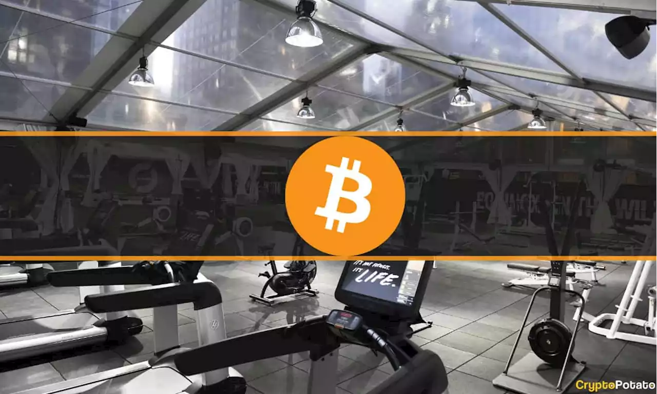 New York Luxury Gym Club to Accept Membership Payments in Crypto: Report