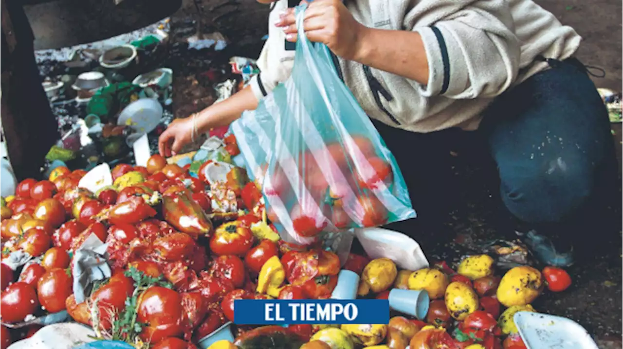 El 12 % de la comida que se pierde en el país se desperdicia en la ciudad