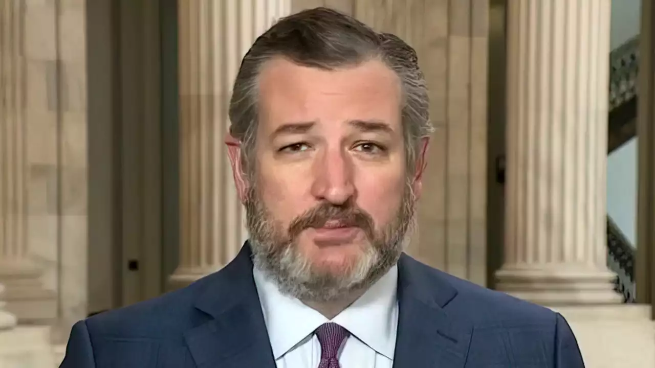 Supreme Court leaker ‘breached’ the trust of the American people: Sen. Ted Cruz