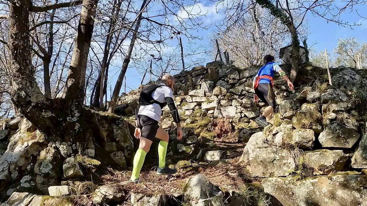 Il 15 maggio si corre la prima edizione del Trail degli Ulivi: il programma