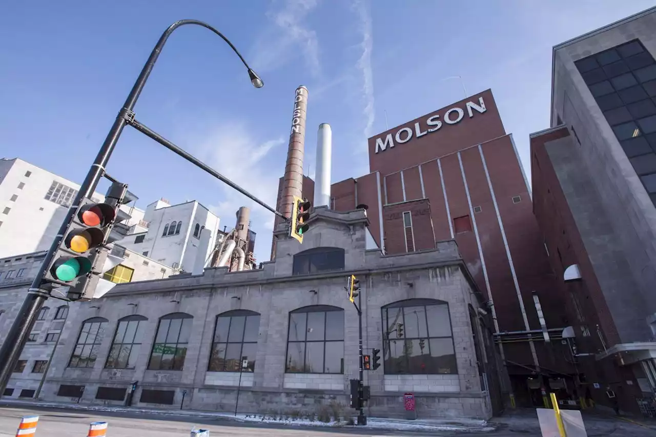 Molson Coors first-quarter profit soars to US$151.5-million on best sales growth in more than decade