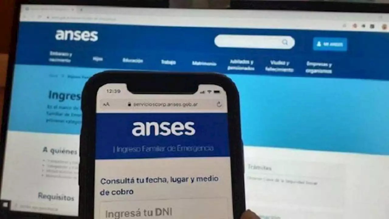 Los trucos que recomienda ANSES para obtener el IFE 4