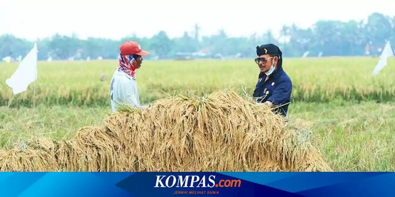 Permudah Petani Budi Daya Pertanian, Kementan Dorong Pembuatan Klaster KUR Pertanian