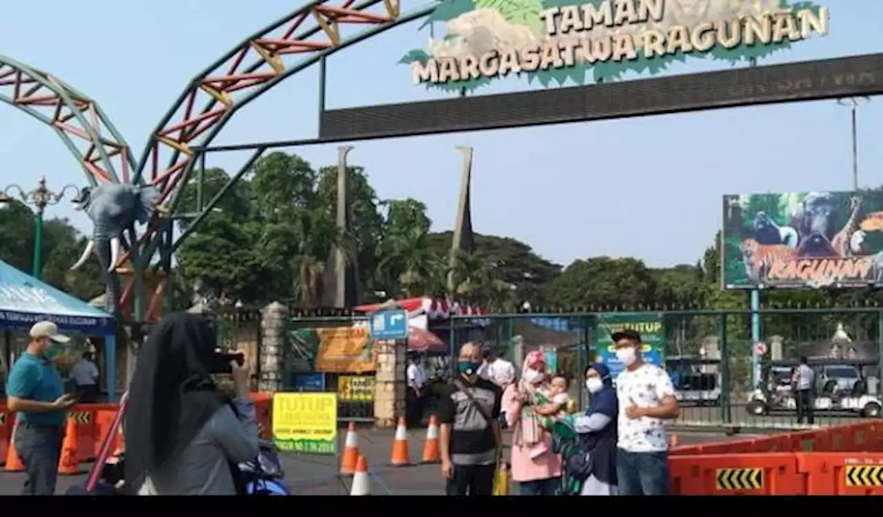 Tiket Masuk Ragunan Zoo: Info Lengkap, Cara Bayar dan Pendaftaran