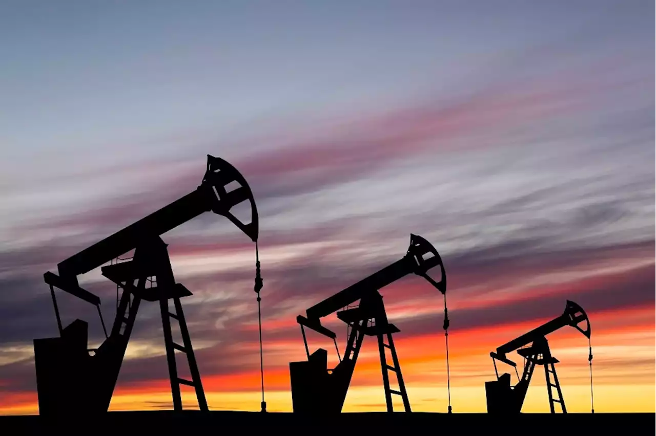 Speculation about giant Namibian oil fund triggers rally in HCI | Fin24