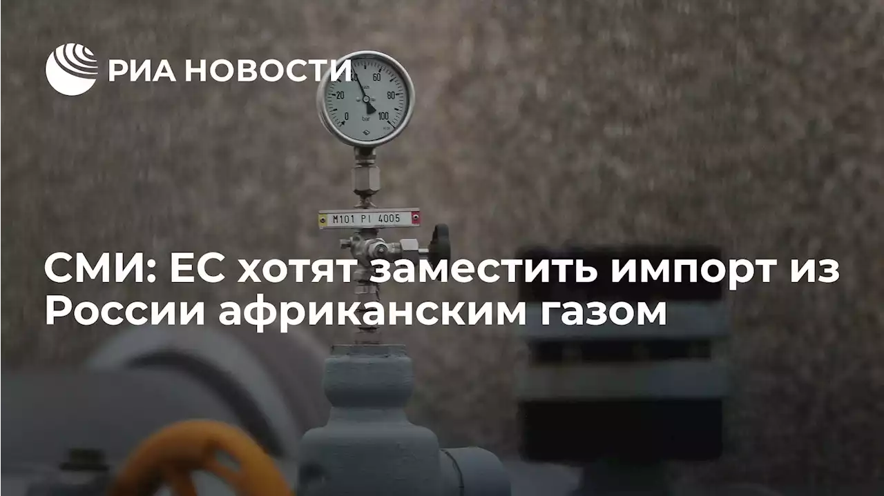 СМИ: ЕС хотят заместить импорт из России африканским газом