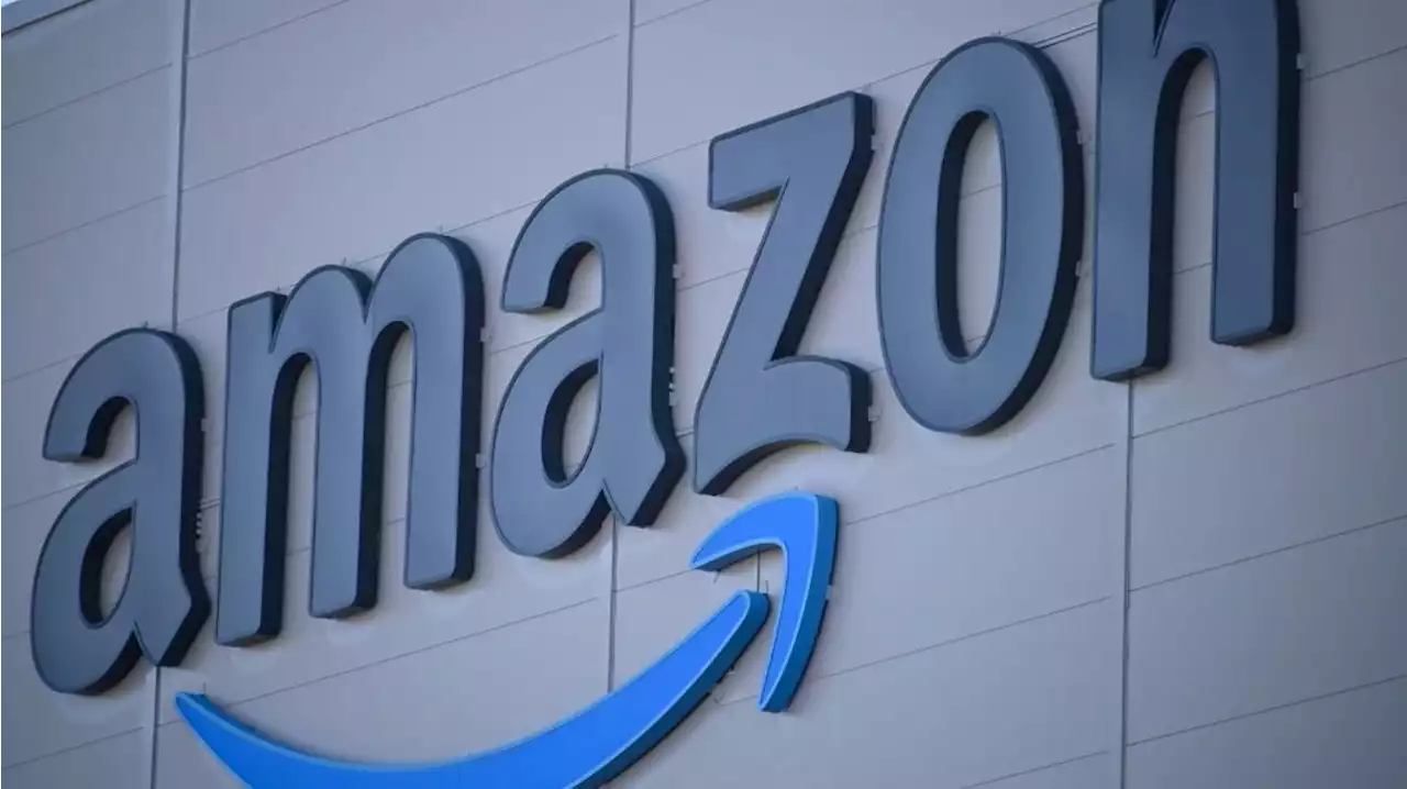 Le premier syndicat d'Amazon aux Etats-Unis échoue dans un deuxième entrepôt