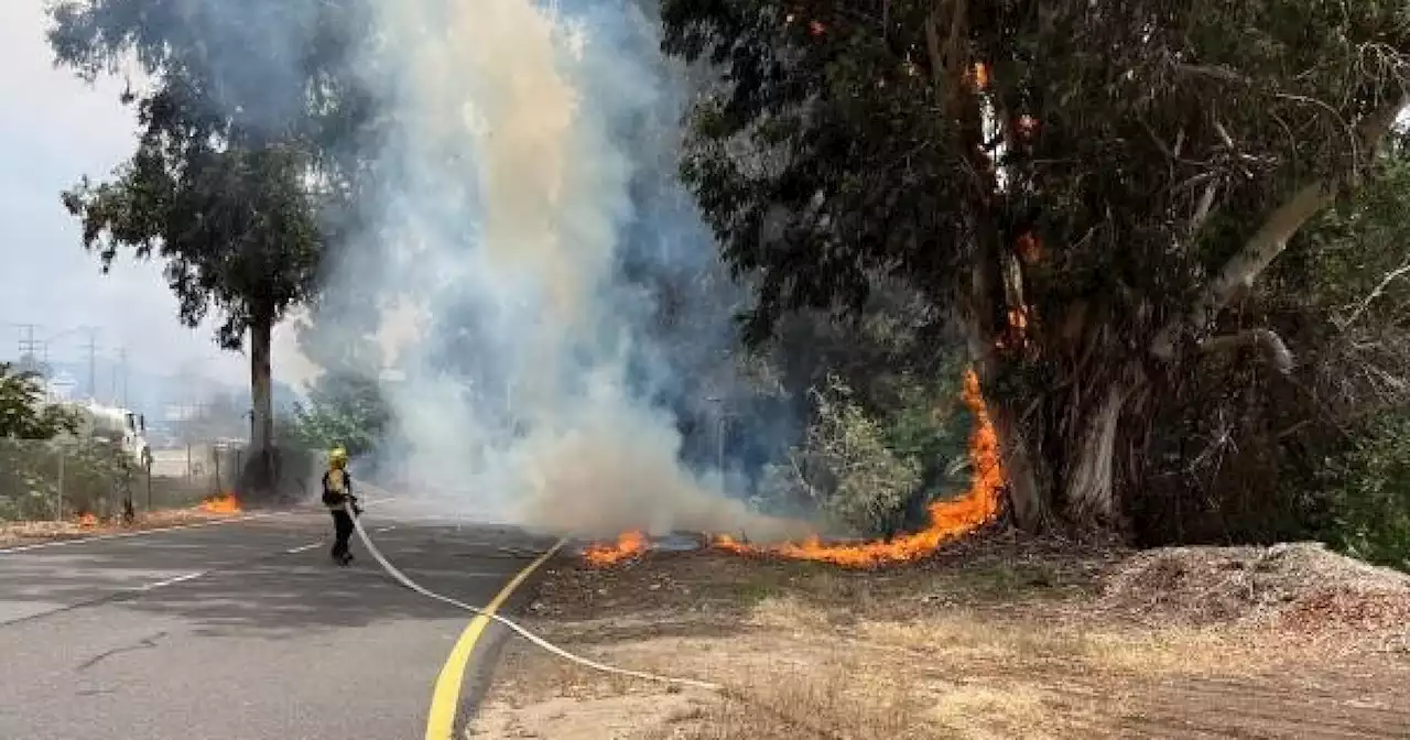 Deputies arrest arson suspect in string of North County brush fires