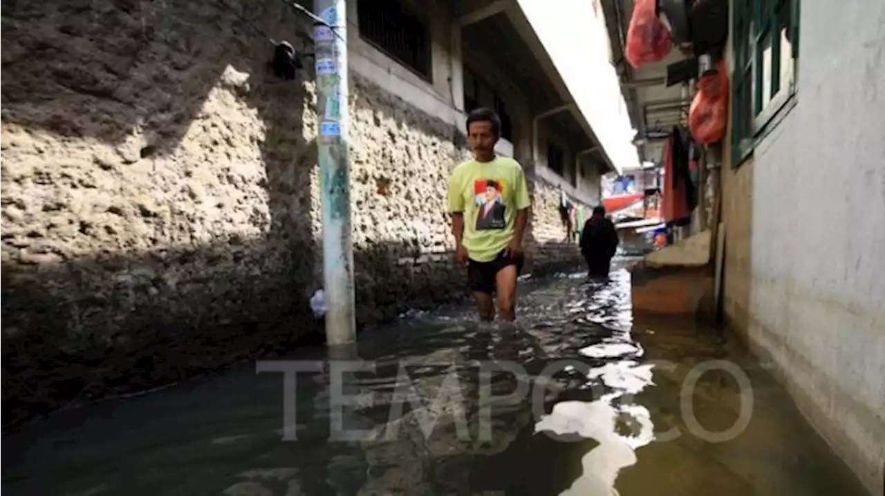 Banjir di Rawa Buaya Surut, Kembangan Utara Masih Kebanjiran 50 Sentimeter