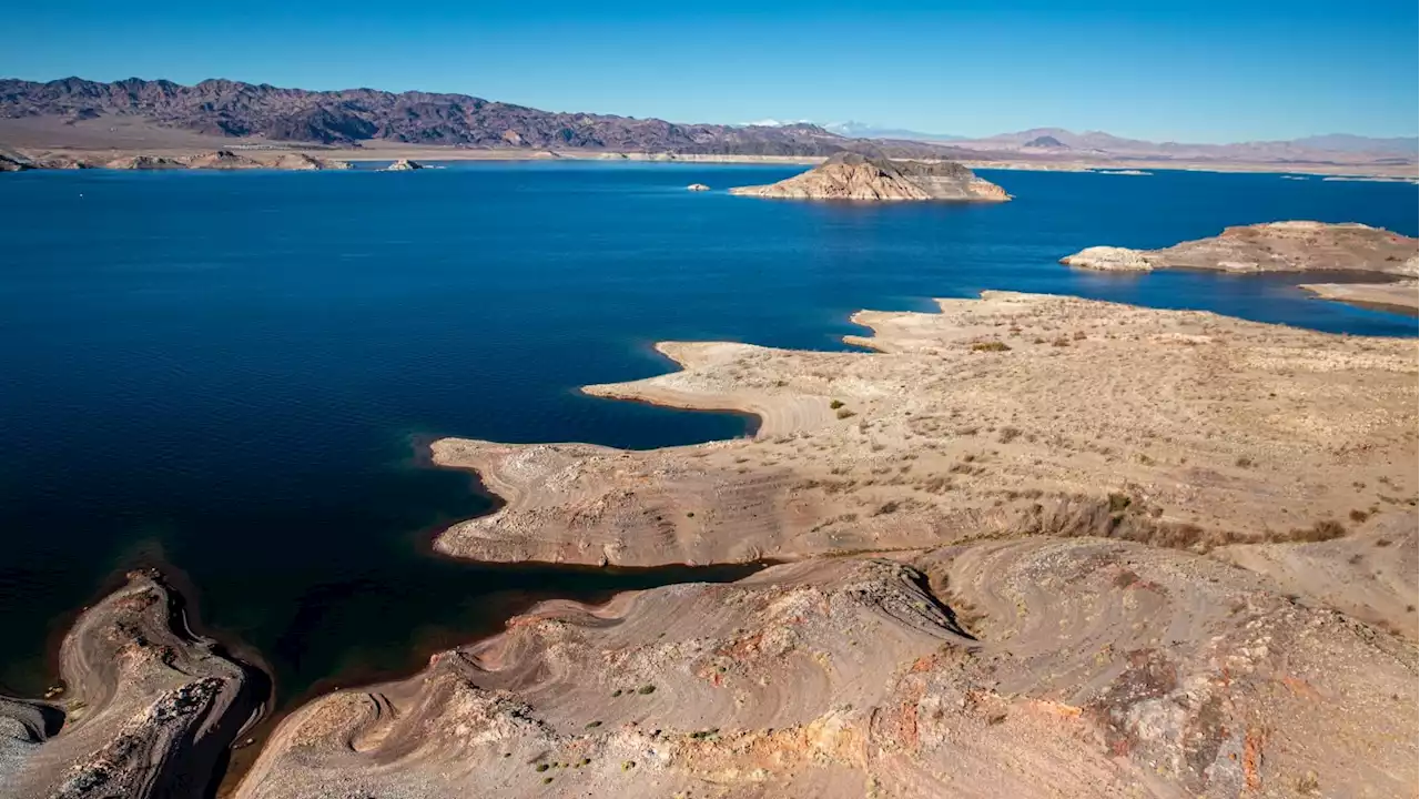 Body in a Barrel: Lake Mead’s Receding Waters Reveal a Grisly Tomb