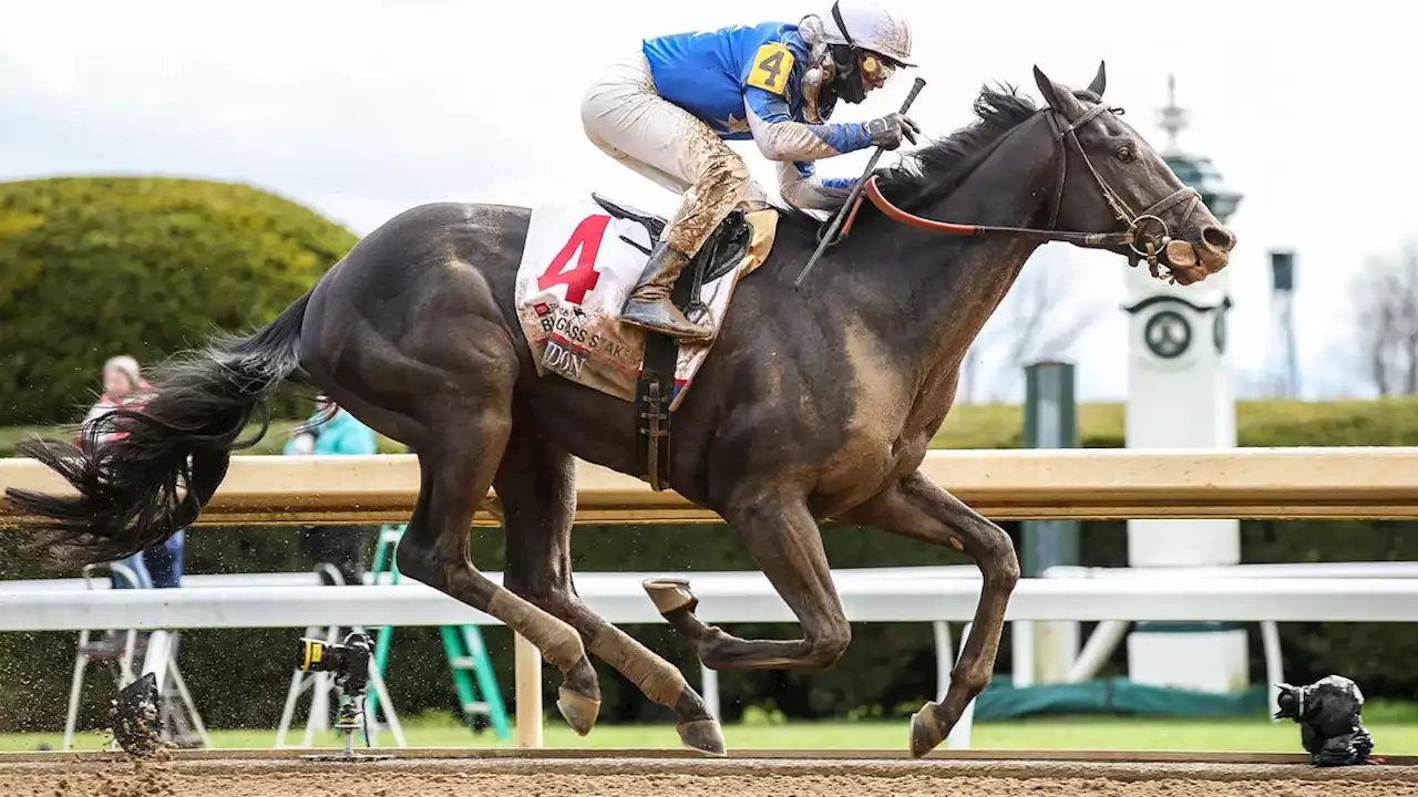 Your Kentucky Derby picks are probably wrong. Here's why each horse can and can't win 'wide-open' race.