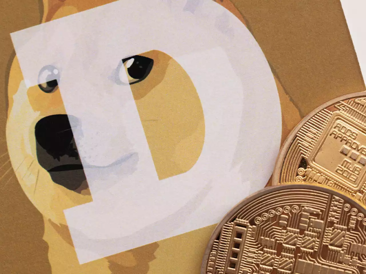 2.69 Billion Dogecoin Transfer Fee Cost User Only 0.00226 DOGE