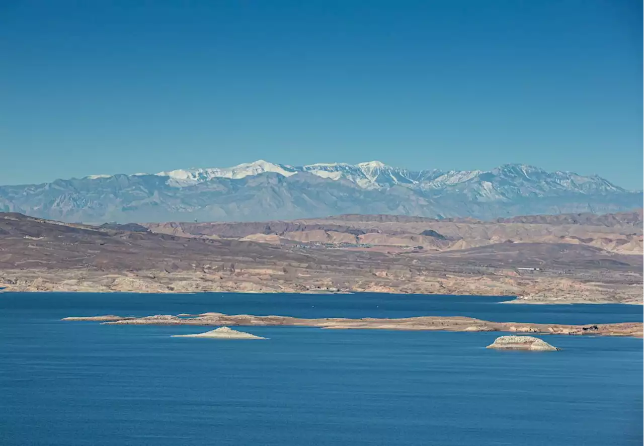 Body From 1980s Homicide Is Found in Barrel at Lake Mead