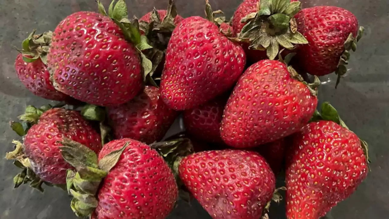 FDA investigating hepatitis A outbreak possibly linked to organic strawberries