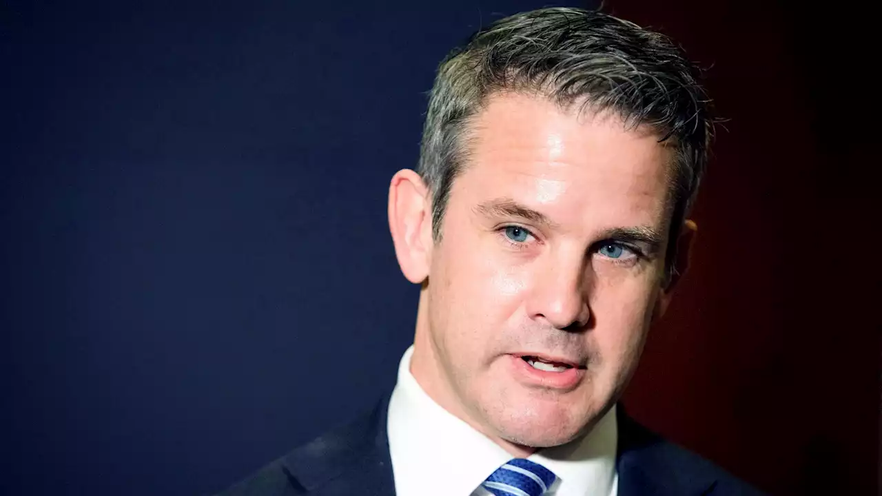 Republican Rep. Adam Kinzinger says he's 'open' to AR-15 ban