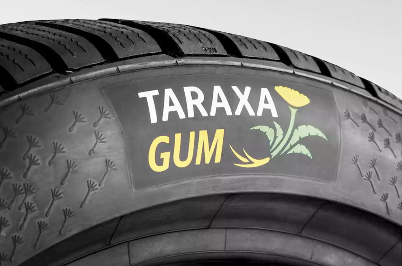 Under the skin: How dandelions are making tyres more sustainable | Autocar