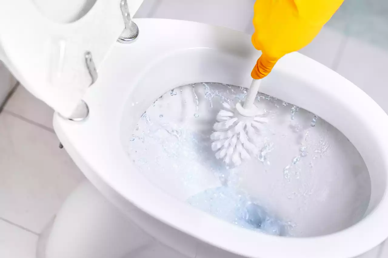 The No. 1 Way to Keep Your Toilet Bowl Sparkling Clean, Experts Say — Best Life