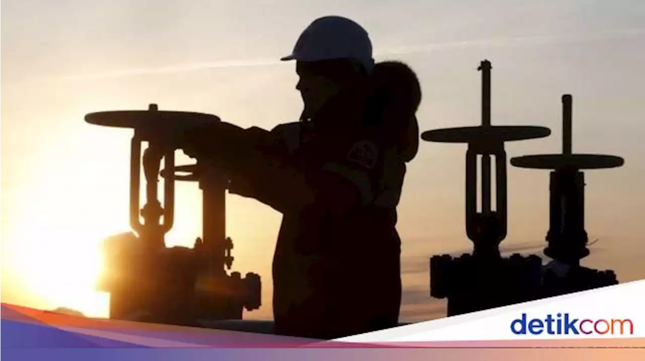 Harga Minyak Dunia Lagi Tinggi, Eh Produksi Melempem Gara-gara Ini