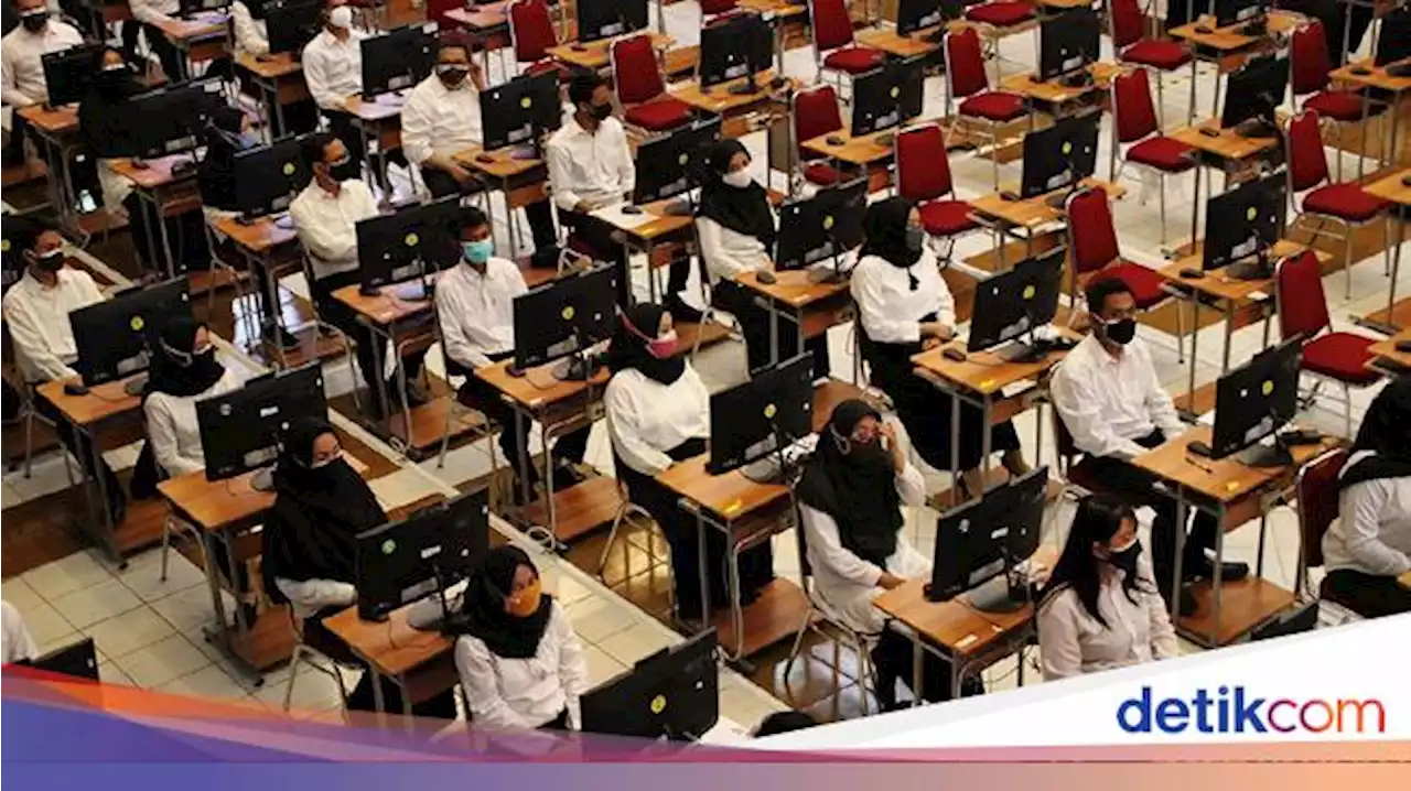 Ini Rincian 442 PPPK yang Mengundurkan Diri