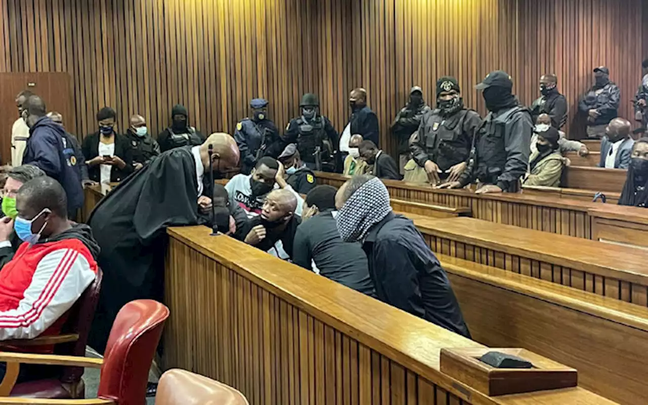 Netflix series' coverage of Senzo Meyiwa's murder trial questioned in court