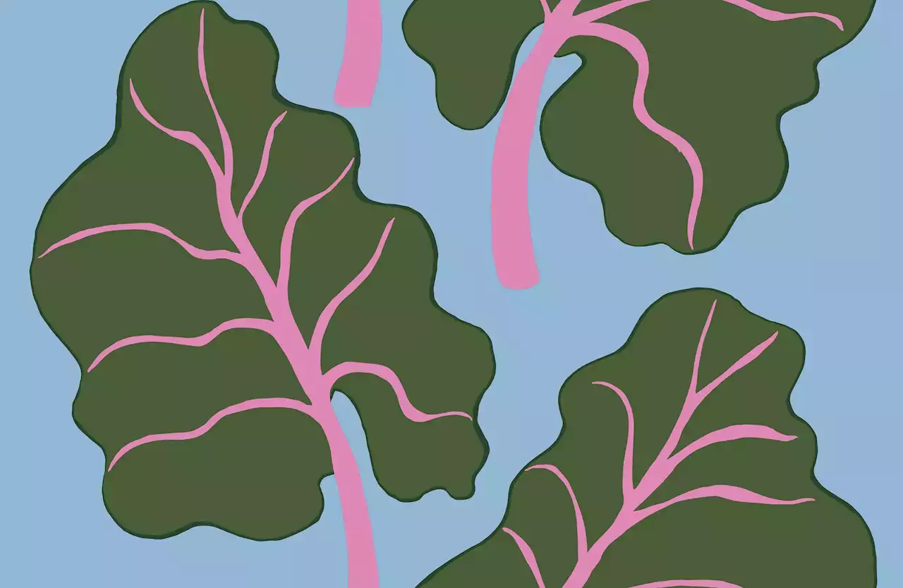 Ikea och Marimekko i samarbete – med bastutema