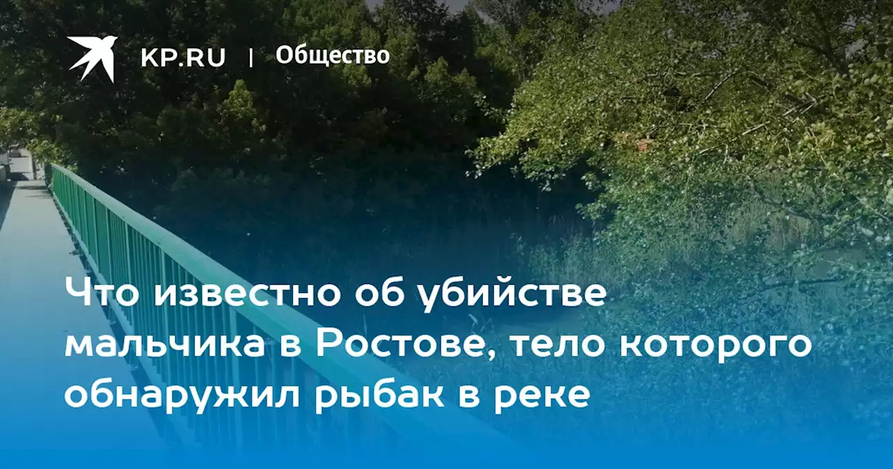 Что известно об убийстве мальчика в Ростове, тело которого обнаружил рыбак в реке