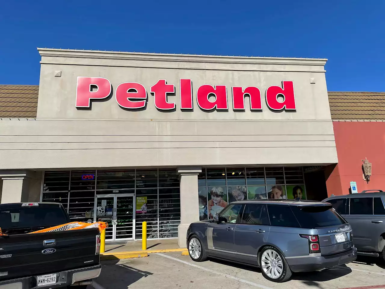 Petland Dallas Owner Sues Ordinance Banning Puppy, Kitten Sales in Dallas