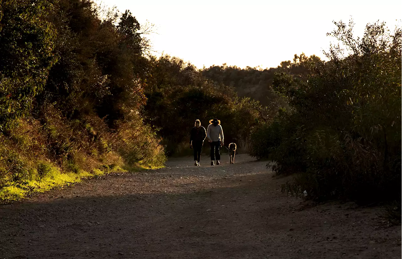 Man Dies While Hiking at Will Rogers State Park in Pacific Palisades