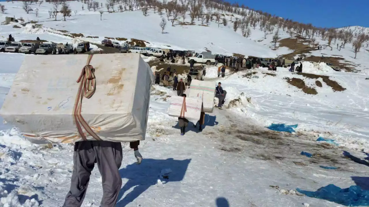 یک نماینده مجلس: سال گذشته بیش از ۱۷۰ کولبر کشته و زخمی شدند