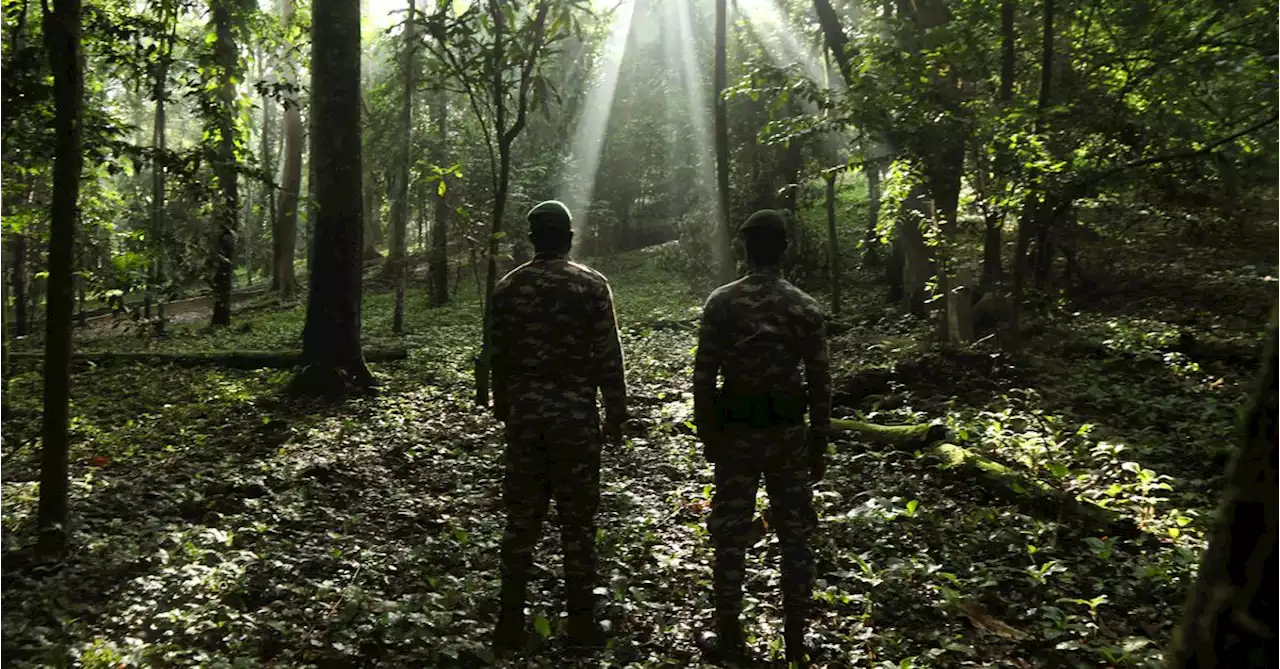 Ivory Coast builds a wall to protect endangered urban park