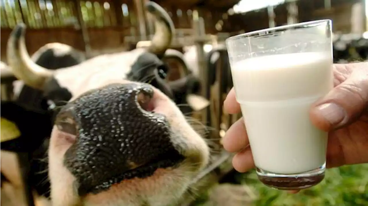 Deutsche trinken so wenig Kuhmilch wie noch nie