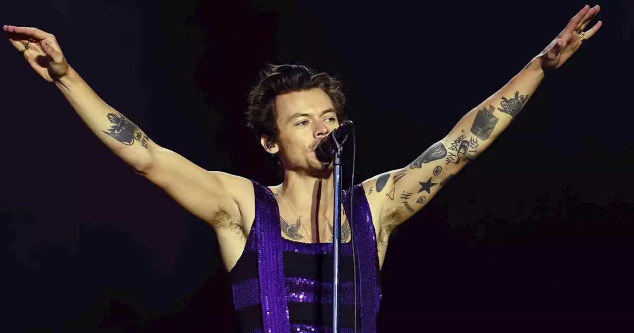 Harry Styles Pledges $1 Million To Everytown for Gun Safety