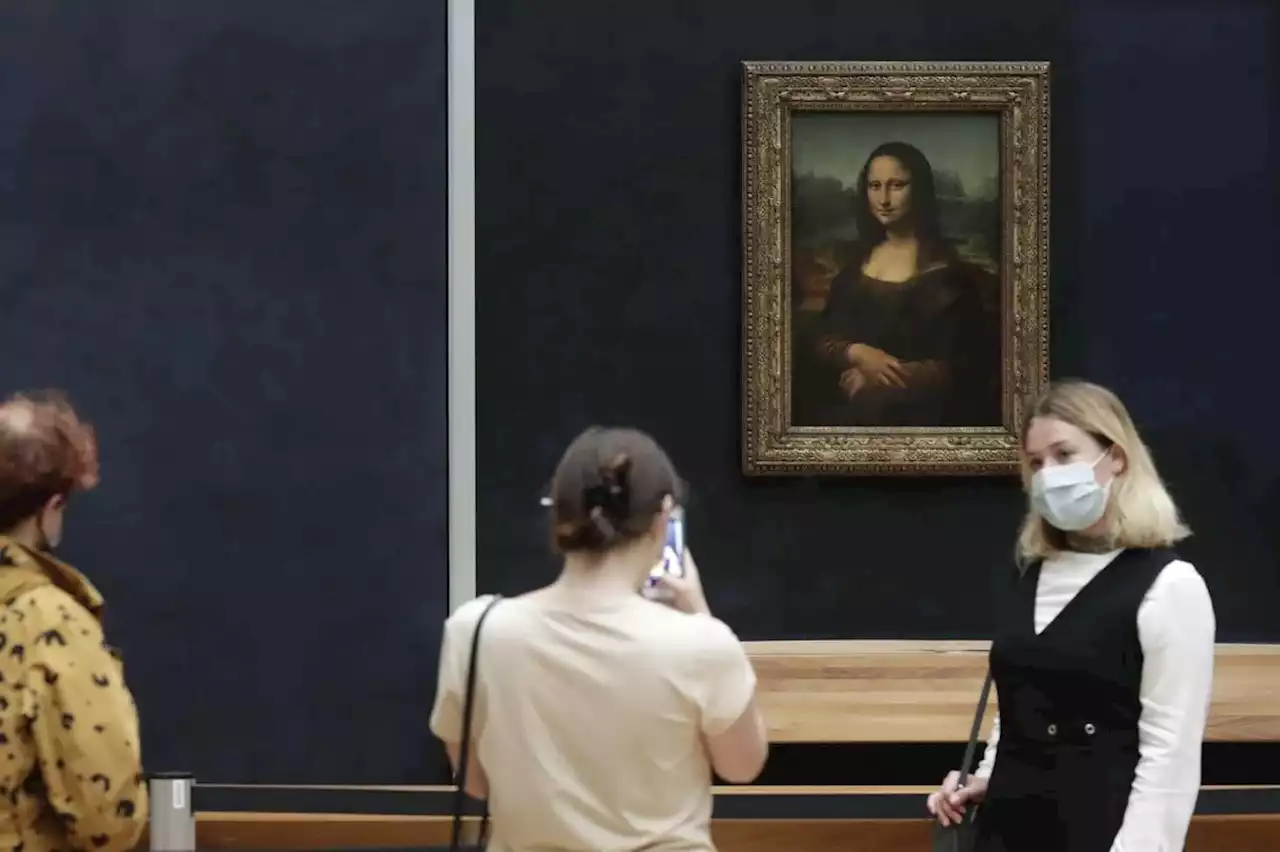 Man in wig throws cake at glass protecting Mona Lisa