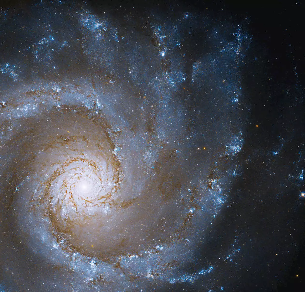 Gaze Into the Heart of a Grand Spiral Galaxy