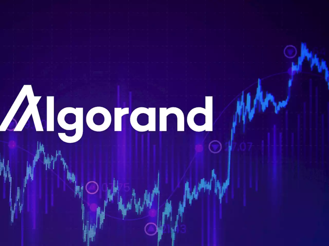 Algorand Funds See Record-Breaking Weekly Inflows