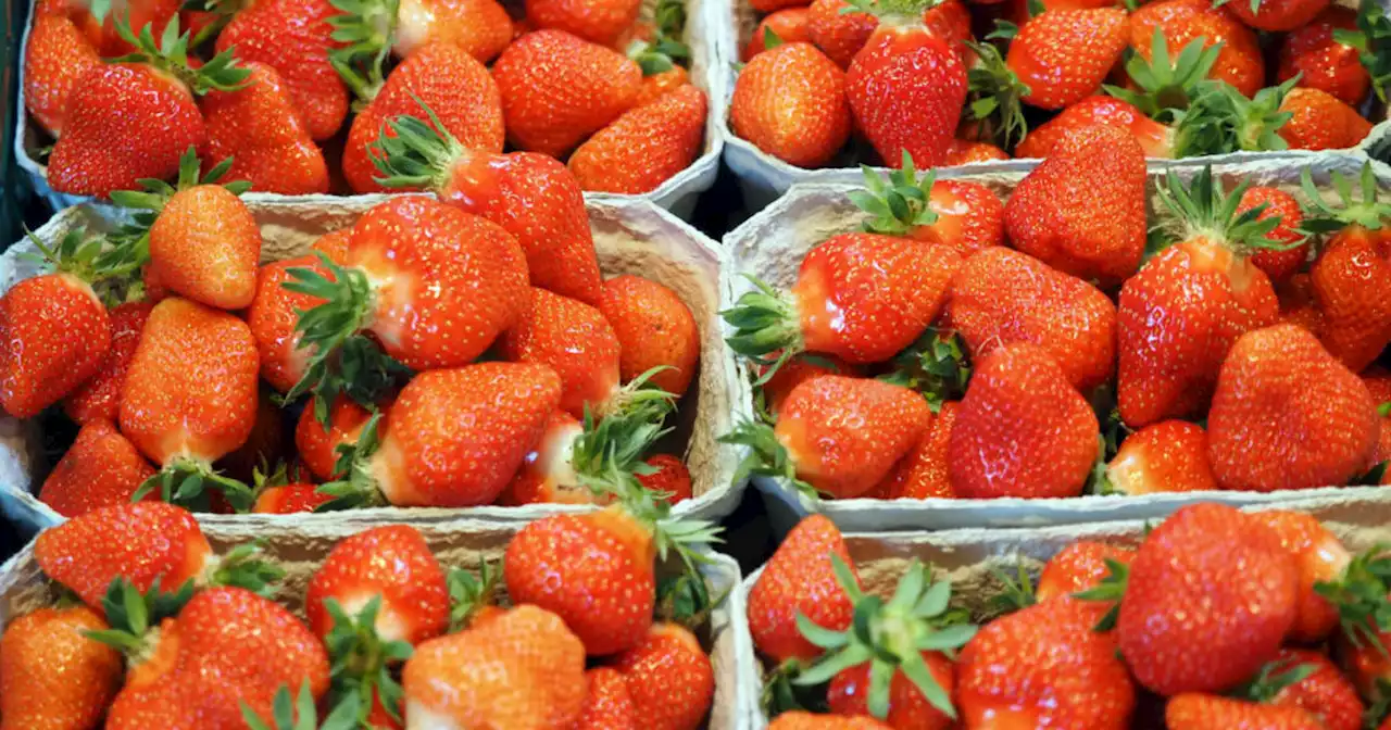 Strawberries likely caused hepatitis A outbreak, FDA says