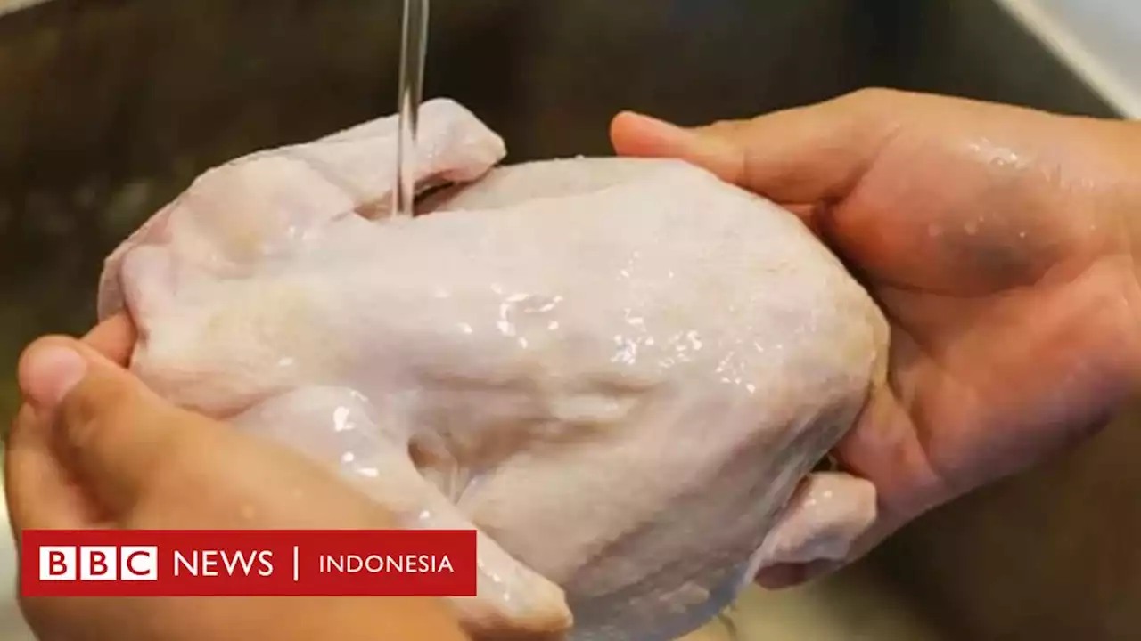 Bahaya mencuci ayam mentah: Bagaimana cara mencegah keracunan makanan - BBC News Indonesia