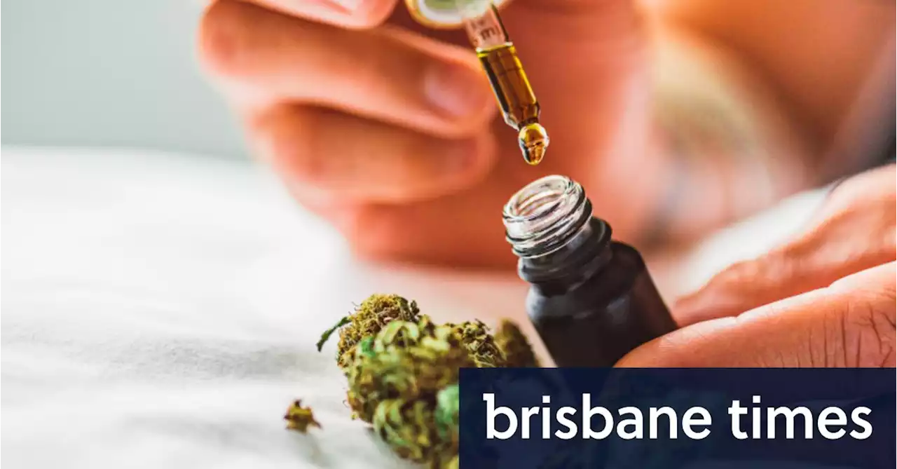 Medicinal cannabis product CBD does not affect driving ability, research finds