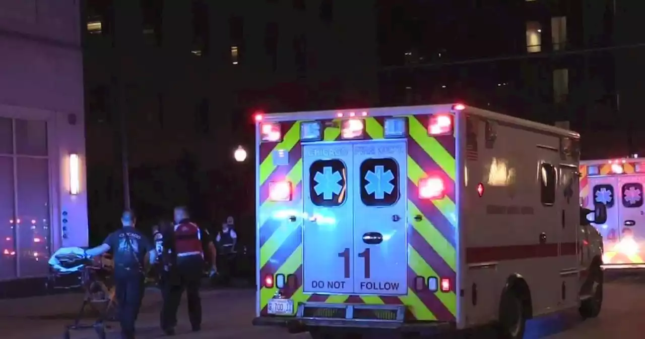 2 people shot in alley on Near North Side