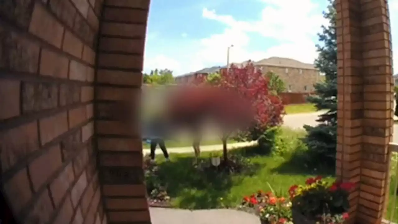 Latest Vaughan carjacking caught on doorbell camera