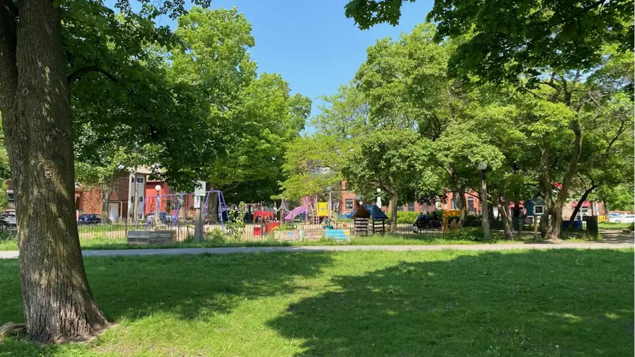 Someone called police on a woman doing tai chi in an Ottawa park