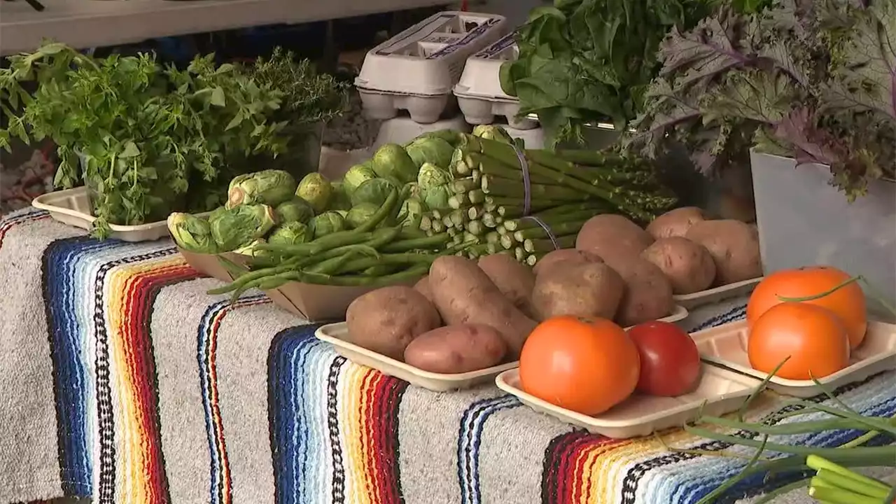 Connected Chef provides fresh food to Queens residents