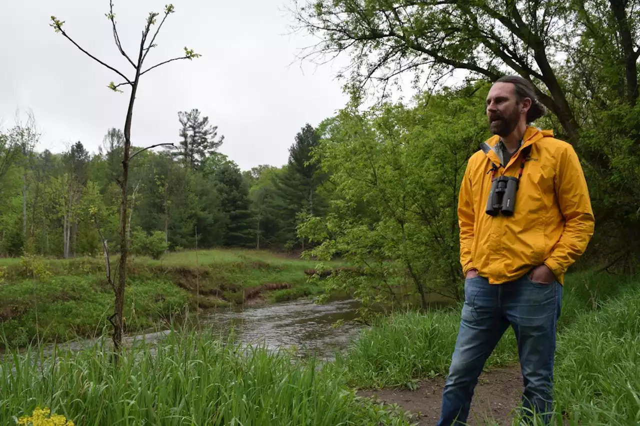 Ontario battle over Highway 413 casts light on flawed species-protection rules
