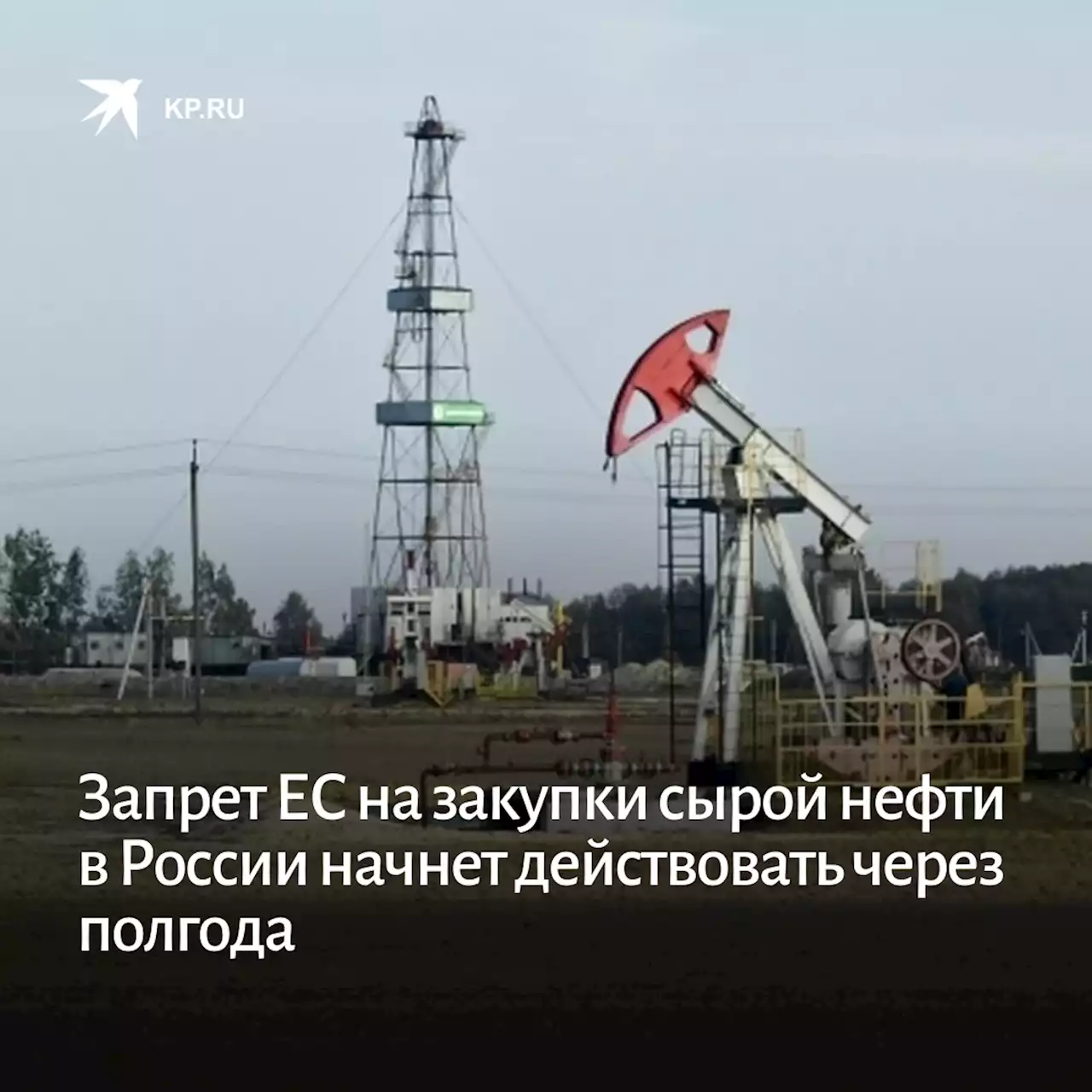 Запрет ЕС на закупки сырой нефти в России начнет действовать через полгода